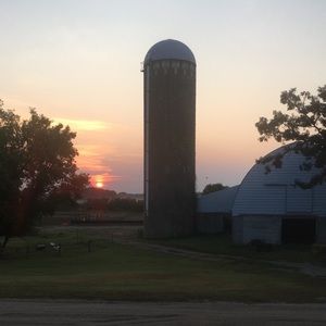 Meet your Posher, Destiny